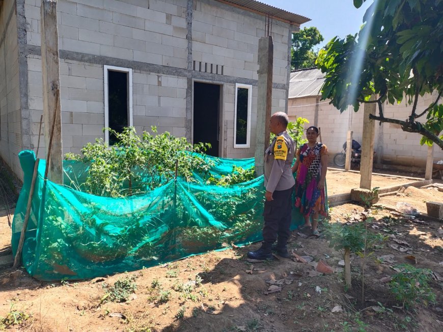 Polsek Gemarang, Bhabinkamtibmas Desa Durenan, pekarangan produktif, ketahanan pangan keluarga